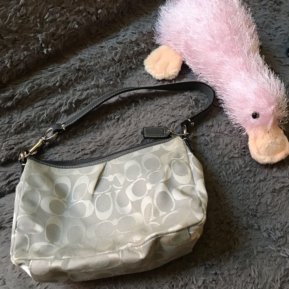 Small Silver Coach Shoulder Bag in Classic C Print